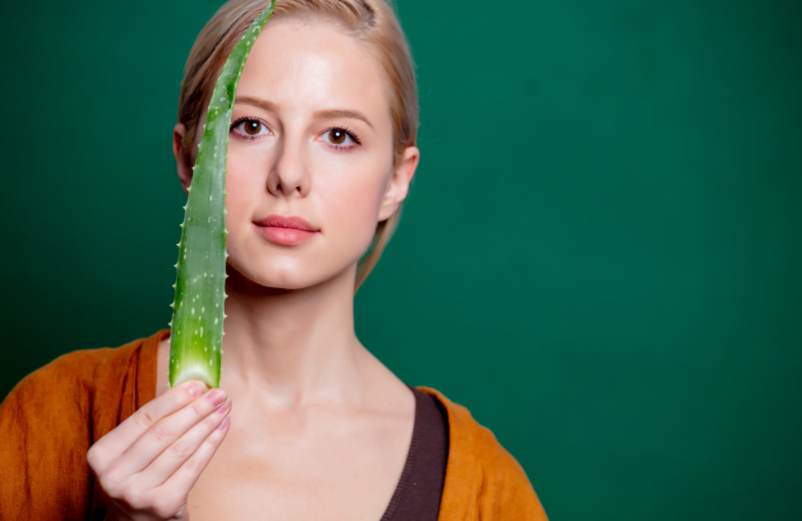 Masque Aloe Vera cheveux : découvrez nos meilleures recettes maison