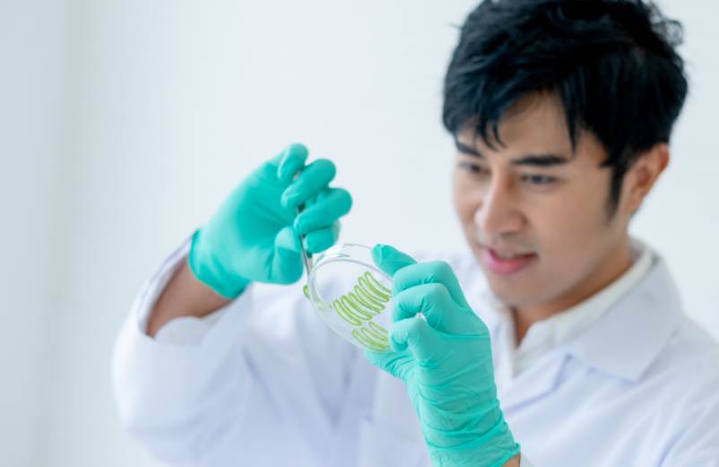 Aloe Vera : dangers sur la peau, à l’ingestion et contre-indications Aloe Vera : dangers sur la peau, à l’ingestion et contre-indications